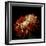 Chrysanthemum 3-Magda Indigo-Framed Photographic Print