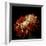 Chrysanthemum 3-Magda Indigo-Framed Photographic Print