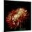 Chrysanthemum 3-Magda Indigo-Mounted Photographic Print