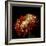 Chrysanthemum 3-Magda Indigo-Framed Photographic Print