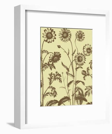 Chrysanthemum 4-Botanical Series-Framed Art Print