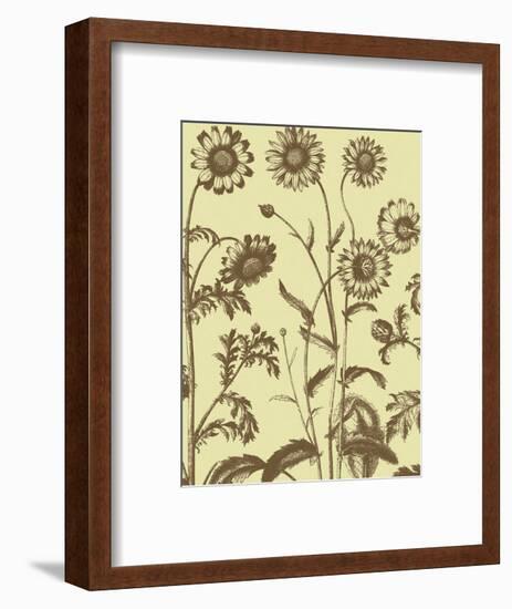 Chrysanthemum 4-Botanical Series-Framed Art Print