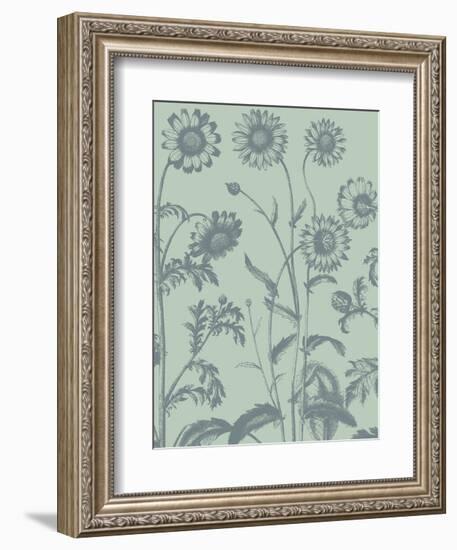 Chrysanthemum 8-Botanical Series-Framed Art Print