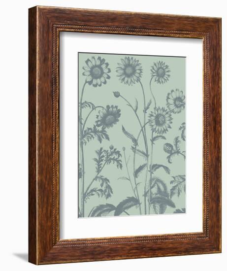 Chrysanthemum 8-Botanical Series-Framed Art Print