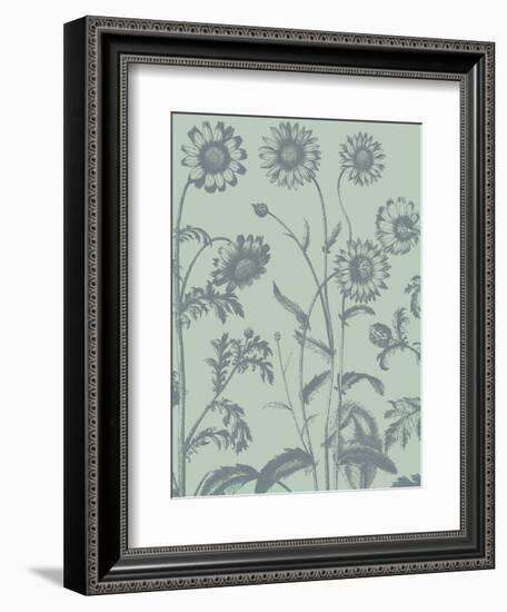 Chrysanthemum 8-Botanical Series-Framed Art Print