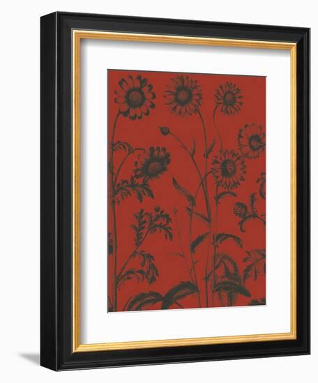 Chrysanthemum 9-Botanical Series-Framed Art Print