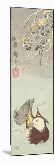 Chrysanthemum and Mandarin Ducks, February 1854-Utagawa Hiroshige-Mounted Giclee Print
