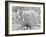 Chrysanthemum, Asakusa, Tokyo, Japan-Rob Tilley-Framed Photographic Print