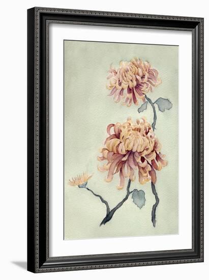 Chrysanthemum Beauty I-Natasha Chabot-Framed Art Print