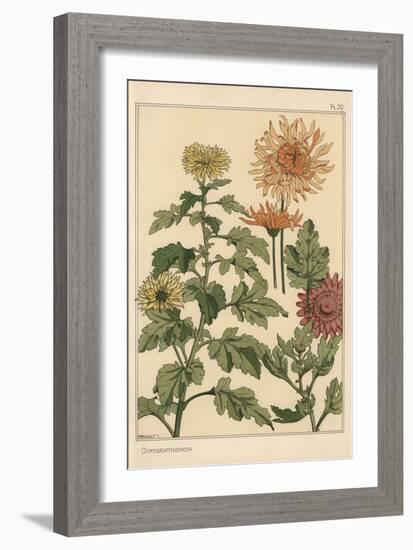 Chrysanthemum Botanical Study, 1897 (Lithograph)-Eugene Grasset-Framed Giclee Print