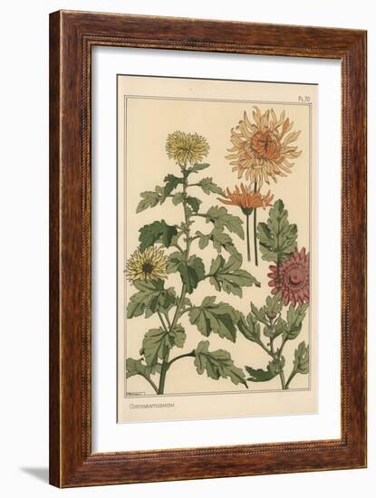 Chrysanthemum Botanical Study, 1897 (Lithograph)-Eugene Grasset-Framed Giclee Print