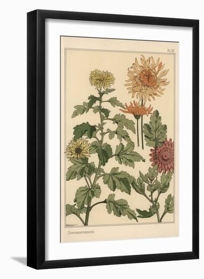 Chrysanthemum Botanical Study, 1897 (Lithograph)-Eugene Grasset-Framed Giclee Print