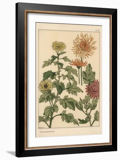 Chrysanthemum Botanical Study, 1897 (Lithograph)-Eugene Grasset-Framed Giclee Print