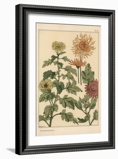 Chrysanthemum Botanical Study, 1897 (Lithograph)-Eugene Grasset-Framed Giclee Print