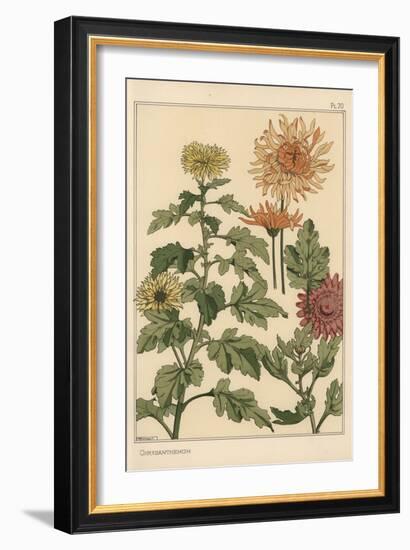 Chrysanthemum Botanical Study, 1897 (Lithograph)-Eugene Grasset-Framed Giclee Print