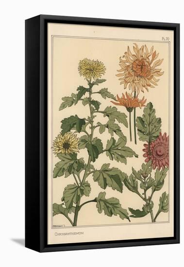Chrysanthemum Botanical Study, 1897 (Lithograph)-Eugene Grasset-Framed Premier Image Canvas