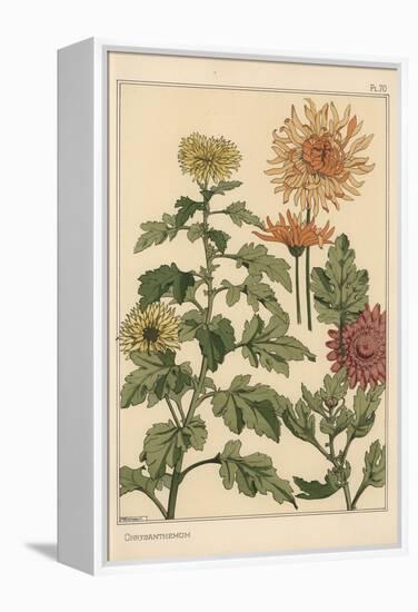Chrysanthemum Botanical Study, 1897 (Lithograph)-Eugene Grasset-Framed Premier Image Canvas