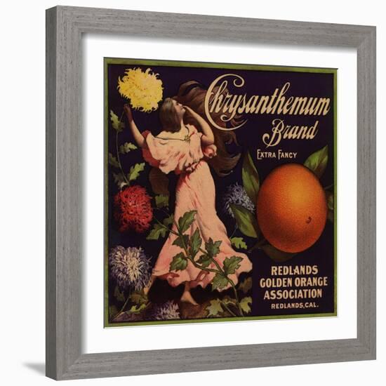 Chrysanthemum Brand - Redlands, California - Citrus Crate Label-Lantern Press-Framed Art Print