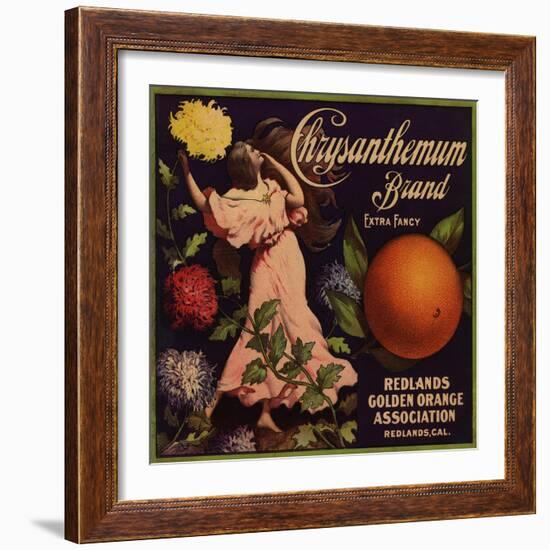 Chrysanthemum Brand - Redlands, California - Citrus Crate Label-Lantern Press-Framed Art Print