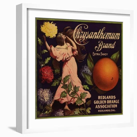 Chrysanthemum Brand - Redlands, California - Citrus Crate Label-Lantern Press-Framed Art Print