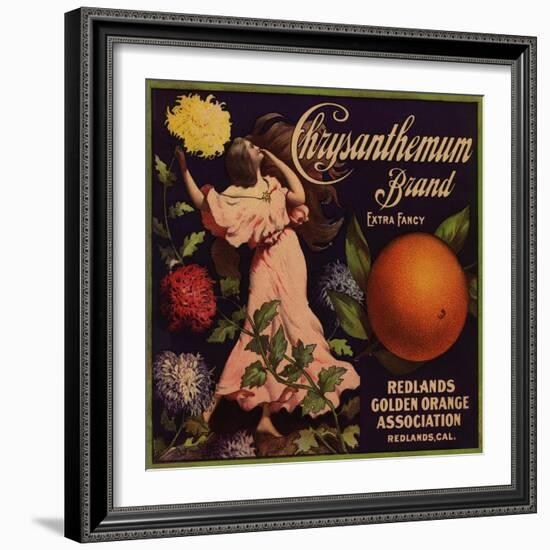 Chrysanthemum Brand - Redlands, California - Citrus Crate Label-Lantern Press-Framed Art Print
