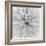 Chrysanthemum Centre-Assaf Frank-Framed Giclee Print