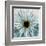 Chrysanthemum Close-Up-Albert Koetsier-Framed Art Print