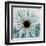 Chrysanthemum Close-Up-Albert Koetsier-Framed Art Print