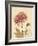 Chrysanthemum Curiosity-Chad Barrett-Framed Art Print