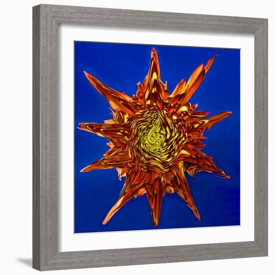 Chrysanthemum Explosion-Charles Bowman-Framed Photographic Print