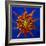 Chrysanthemum Explosion-Charles Bowman-Framed Photographic Print