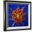 Chrysanthemum Explosion-Charles Bowman-Framed Photographic Print