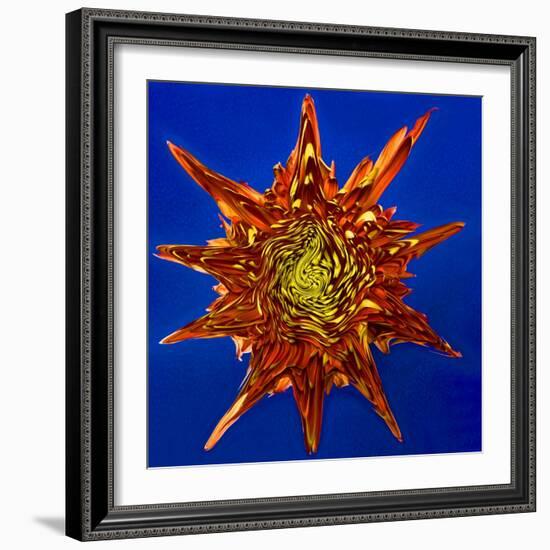 Chrysanthemum Explosion-Charles Bowman-Framed Photographic Print