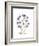 Chrysanthemum Family-Albert Koetsier-Framed Premium Giclee Print