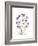 Chrysanthemum Family-Albert Koetsier-Framed Premium Giclee Print