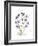 Chrysanthemum Family-Albert Koetsier-Framed Premium Giclee Print