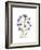 Chrysanthemum Family-Albert Koetsier-Framed Premium Giclee Print