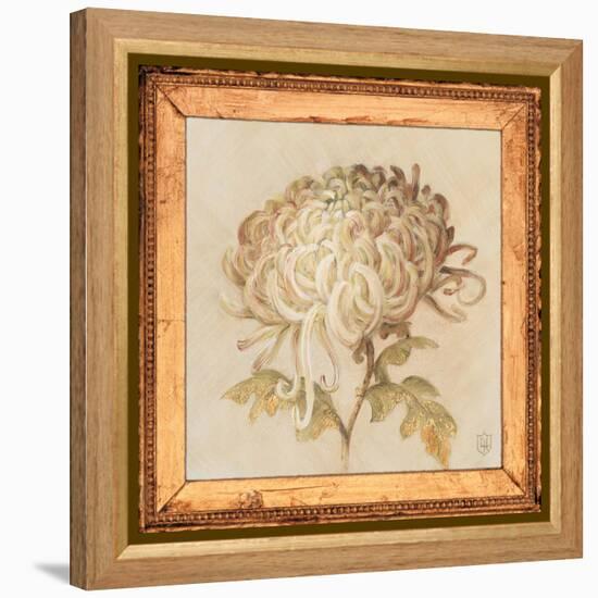 Chrysanthemum Floret Detail-Lauren Hamilton-Framed Stretched Canvas