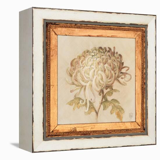 Chrysanthemum Floret Detail-Lauren Hamilton-Framed Stretched Canvas