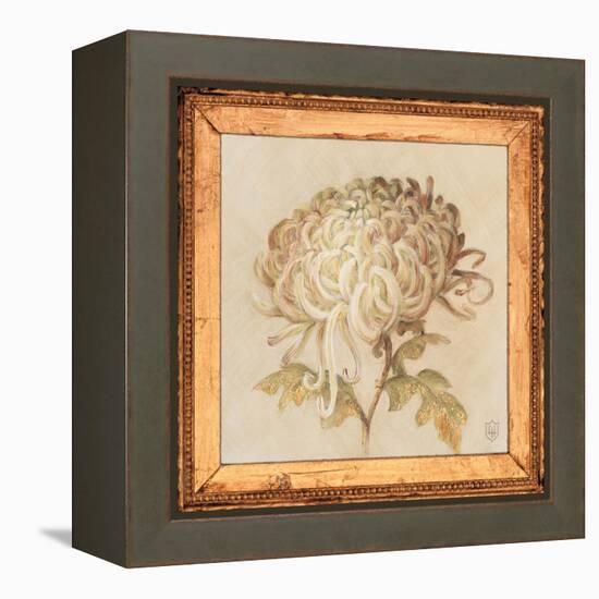 Chrysanthemum Floret Detail-Lauren Hamilton-Framed Stretched Canvas