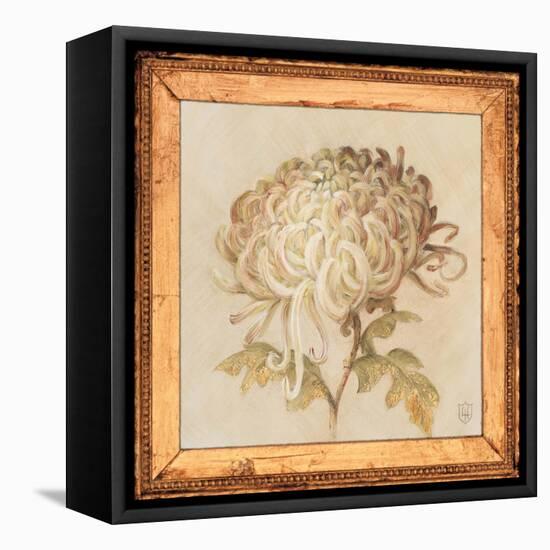 Chrysanthemum Floret Detail-Lauren Hamilton-Framed Stretched Canvas