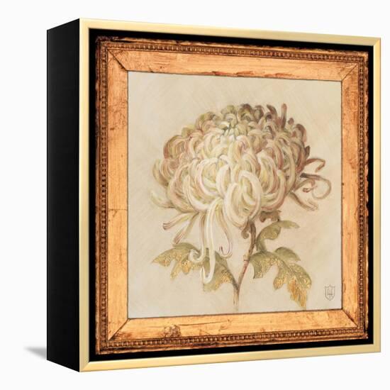 Chrysanthemum Floret Detail-Lauren Hamilton-Framed Stretched Canvas