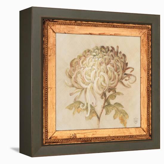 Chrysanthemum Floret Detail-Lauren Hamilton-Framed Stretched Canvas