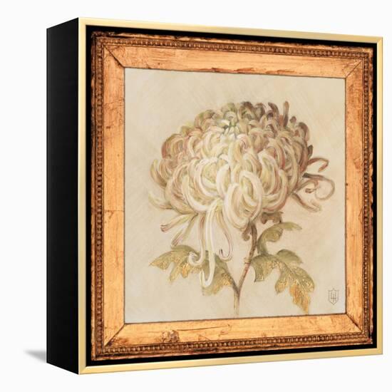 Chrysanthemum Floret Detail-Lauren Hamilton-Framed Stretched Canvas