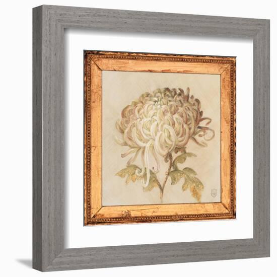 Chrysanthemum Floret Detail-Lauren Hamilton-Framed Art Print