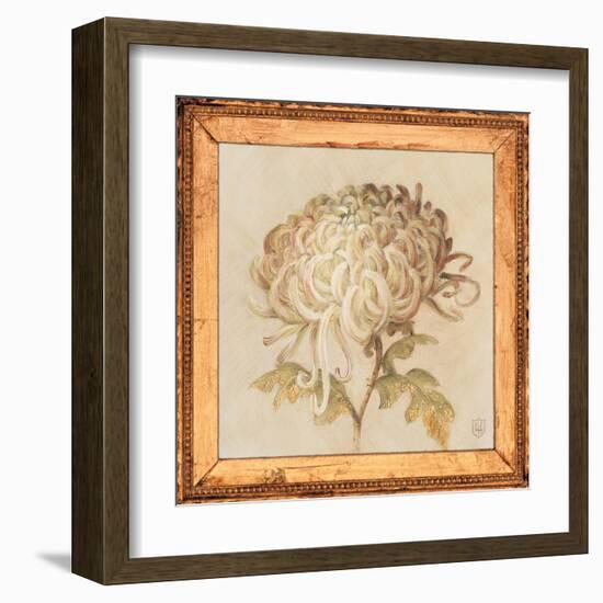 Chrysanthemum Floret Detail-Lauren Hamilton-Framed Art Print