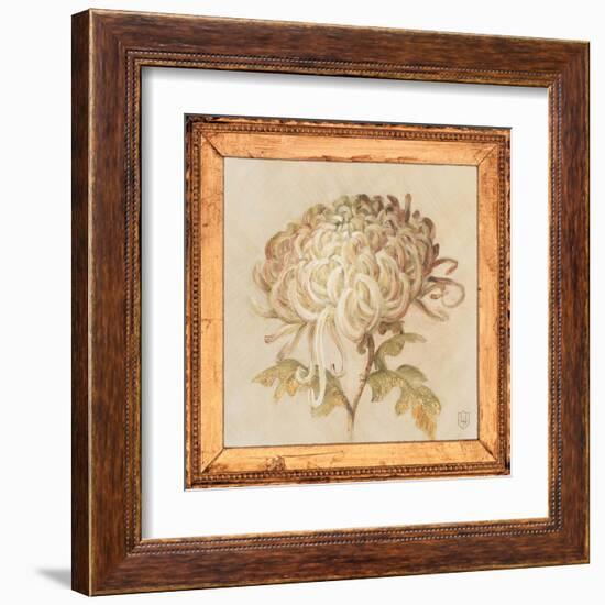 Chrysanthemum Floret Detail-Lauren Hamilton-Framed Art Print