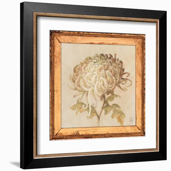 Chrysanthemum Floret Detail-Lauren Hamilton-Framed Art Print