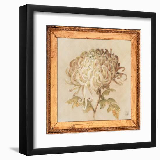 Chrysanthemum Floret Detail-Lauren Hamilton-Framed Art Print