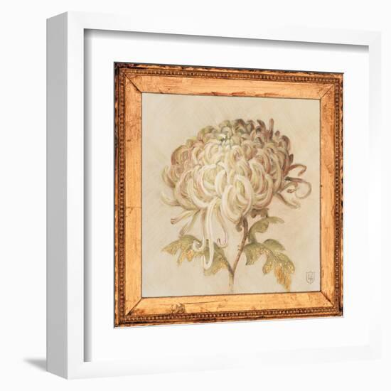 Chrysanthemum Floret Detail-Lauren Hamilton-Framed Art Print